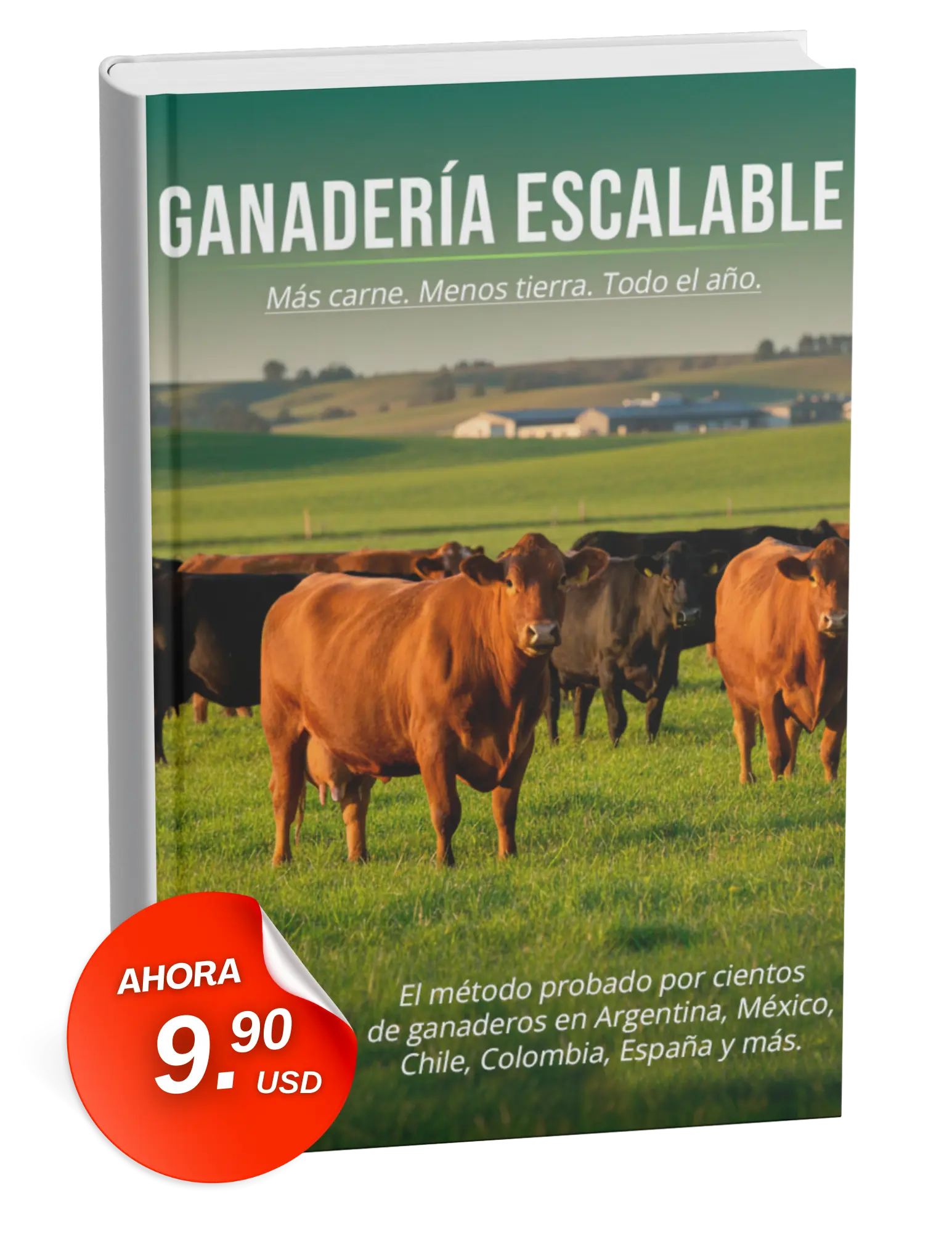 sin título (21.59 x 27.94 cm) (24)